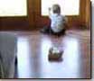 Certified Professional Wood Flooring Installer